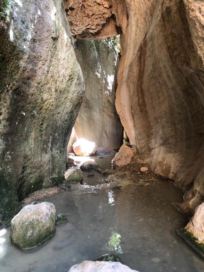Casa Sol Y Aire - Vakantievilla In Dorp Met Prive Zwembad Pinos del Valle エクステリア 写真